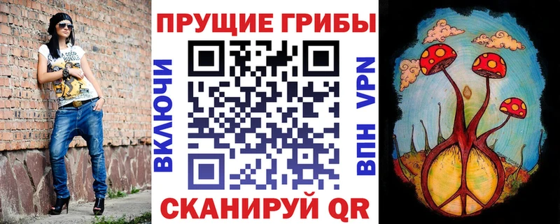Псилоцибиновые грибы ЛСД  как найти   Игра 